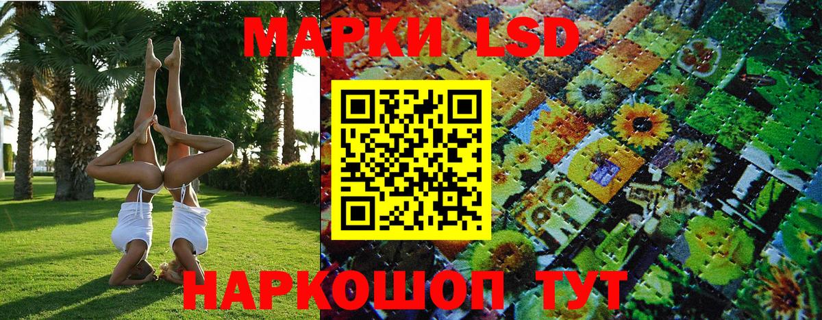 Марки NBOMe 1,8мг  Вход с VPN  купить  цена  Корсаков 