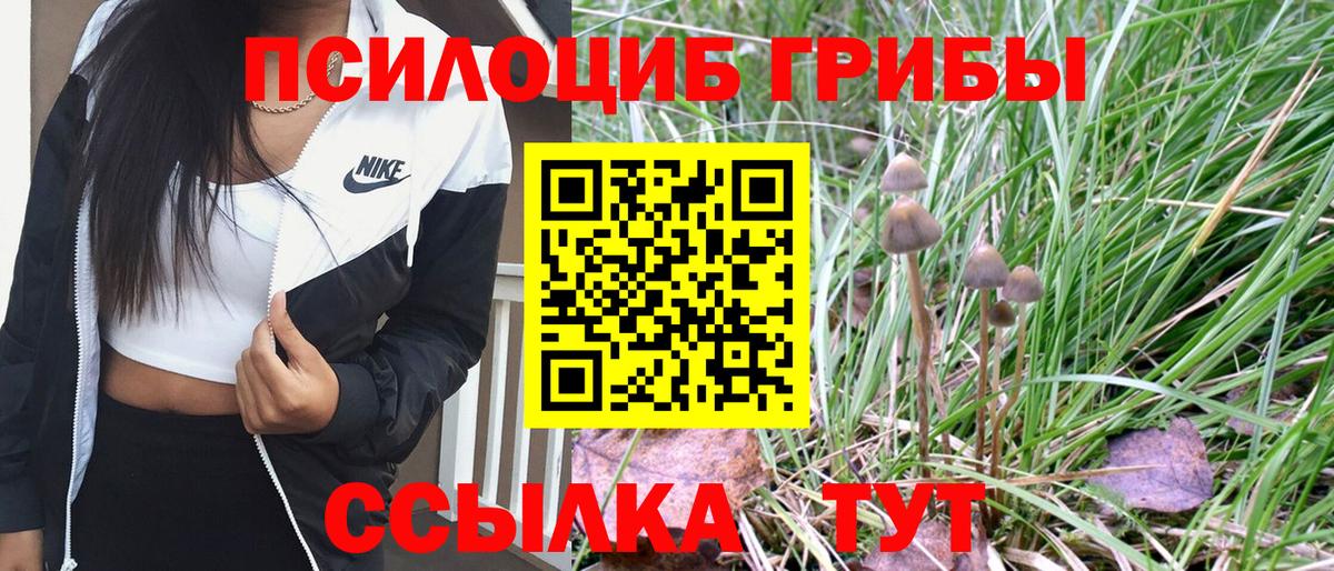 Галлюциногенные грибы Psilocybine cubensis Корсаков