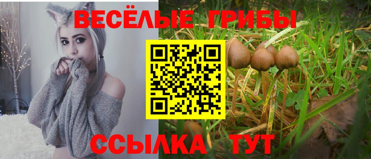Корсаков  Галлюциногенные грибы мухоморы  Вход с VPN  Галлюциногенные грибы Psilocybe 